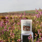 PREORDER: The Scent of The Yorkshire Moors ~ Scented Natural Wax Candle - Dispatched by 15th Aug