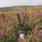 The Scent of The Yorkshire Moors ~ Reed Diffuser