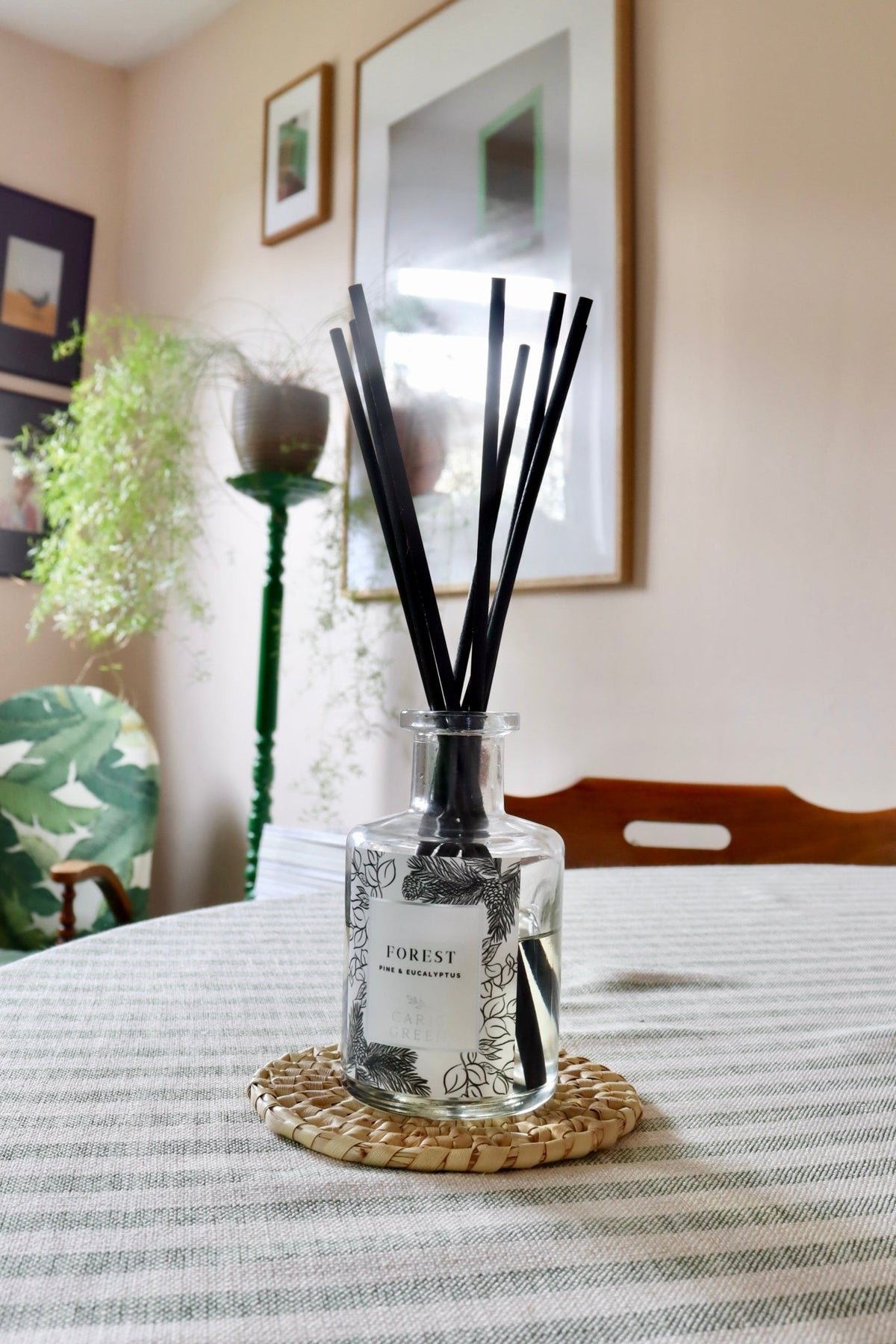 Forest ~ Pine & Eucalyptus/ Reed Diffuser - Caris Green