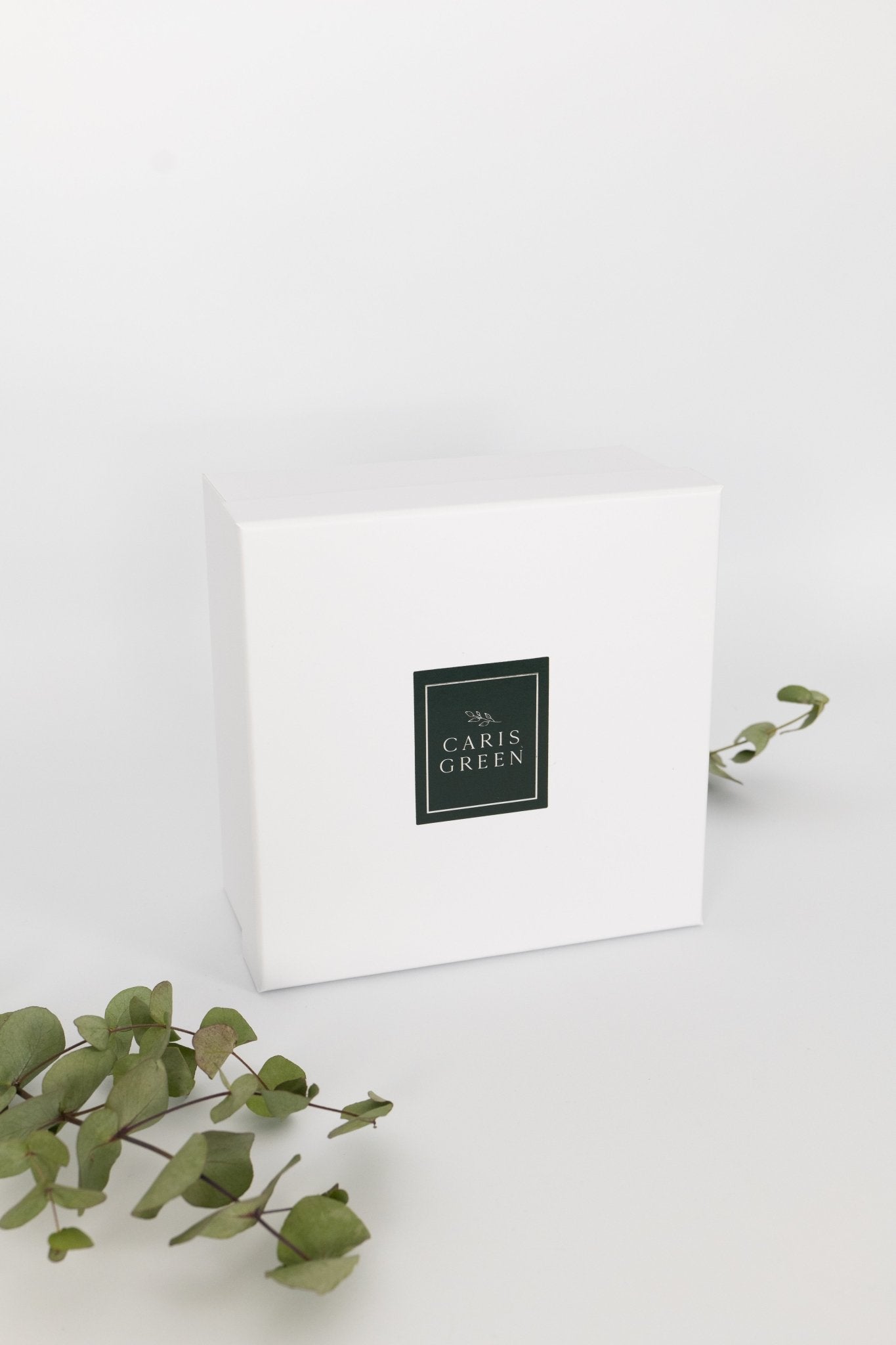 Mixed Wax Melts (x10) & Burner Gift Box - Caris Green