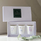 Votive Scented Candle Trio / Candle Gift Box - Caris Green