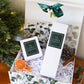 Reed Diffuser and Candle Gift Box - Caris Green