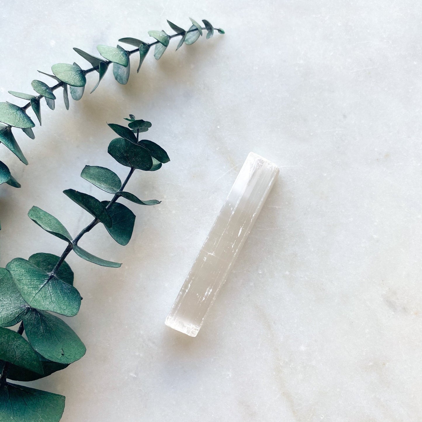 Selenite Crystal Wand - Caris Green